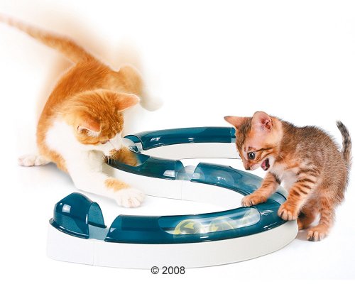 cat circuit toy